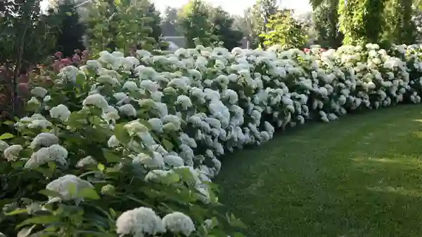Strong annabelle® – weather resistant