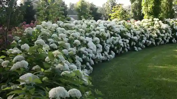 Strong annabelle® – weather resistant