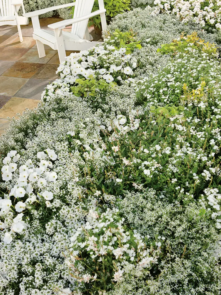 Sonne oder Halbschatten