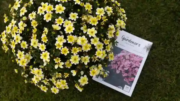 The gardener’s ideas book