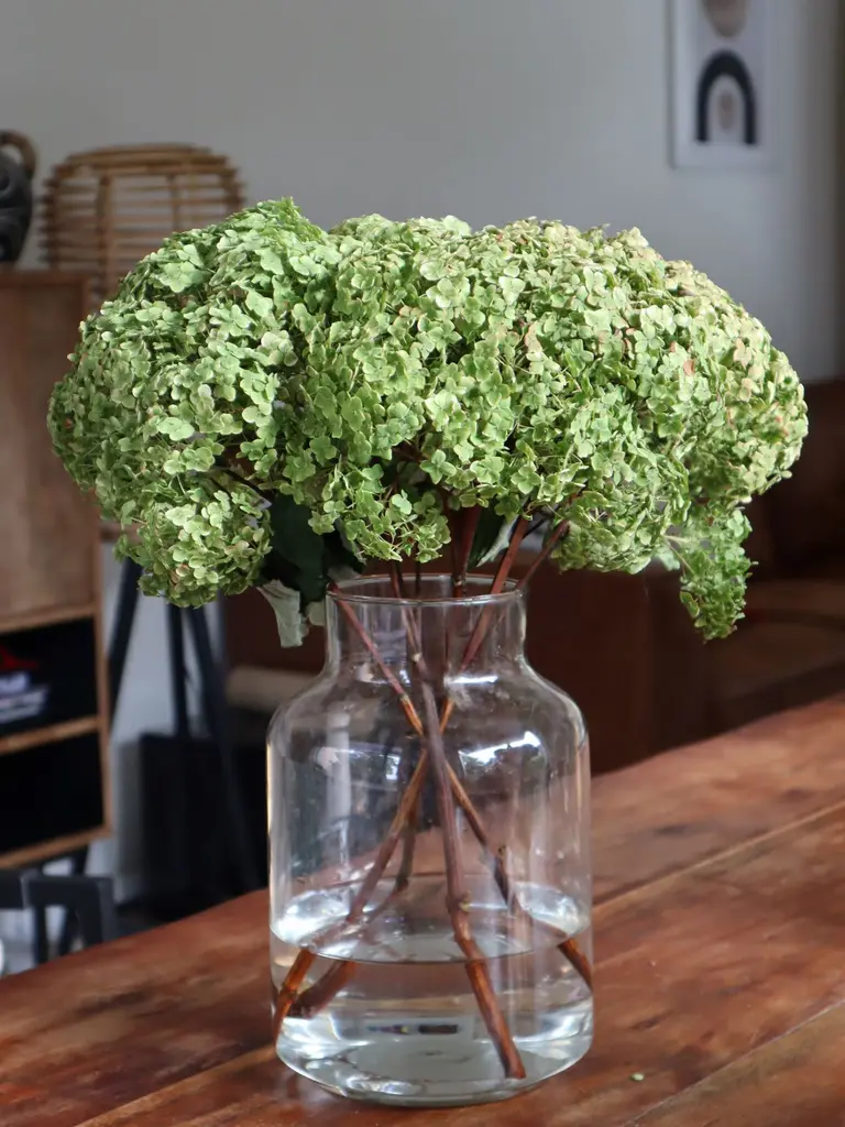 Cut flowers